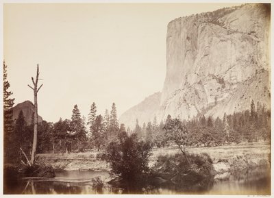  av Carleton Watkins