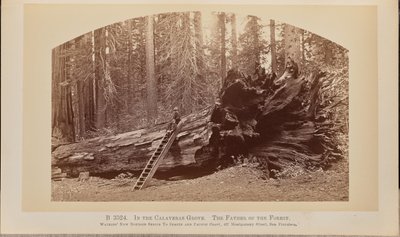  av Carleton Watkins