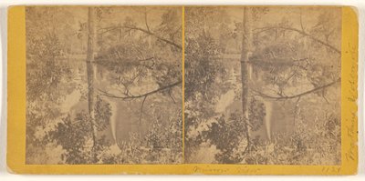  av Carleton Watkins