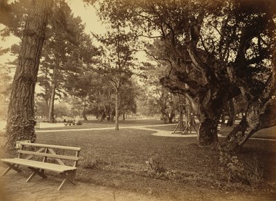  av Carleton Watkins