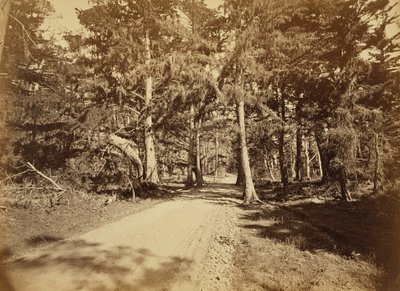  av Carleton Watkins
