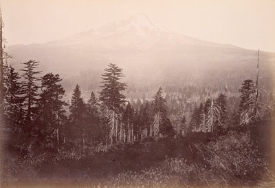  av Carleton Watkins