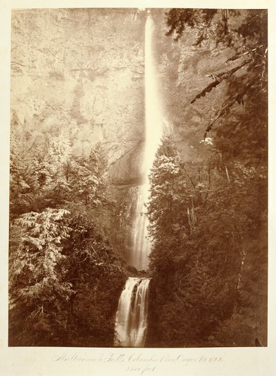  av Carleton Watkins