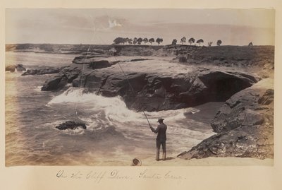  av Carleton Watkins