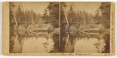 Ved Merced (nr. 51) av Carleton Watkins