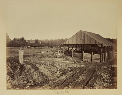  av Carleton Watkins