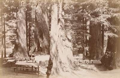  av Carleton Watkins