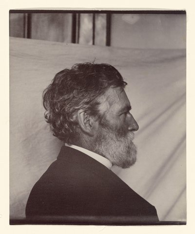  av Carleton Watkins