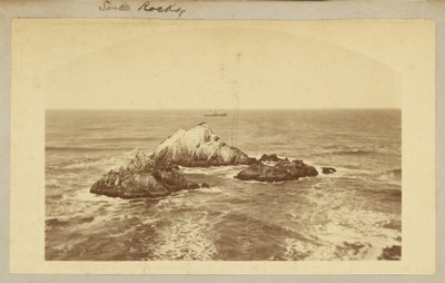  av Carleton Watkins