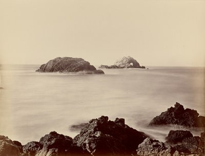  av Carleton Watkins