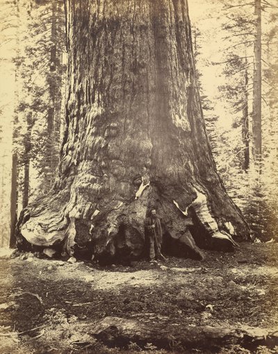  av Carleton Watkins