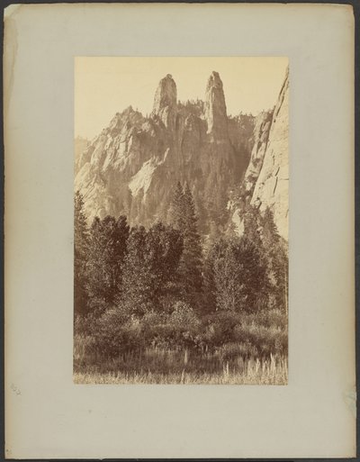  av Carleton Watkins