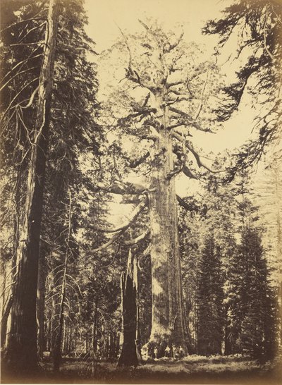  av Carleton Watkins