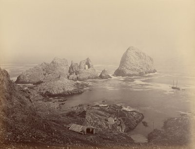  av Carleton Watkins