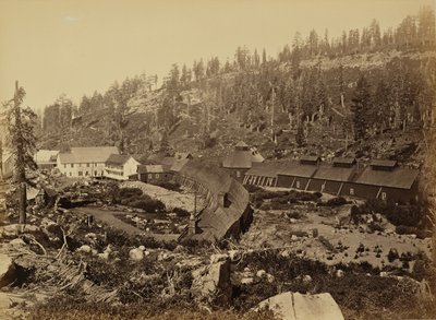  av Carleton Watkins