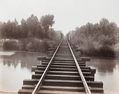  av Carleton Watkins