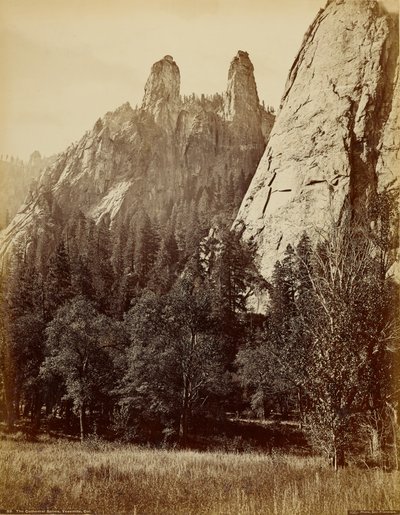  av Carleton Watkins