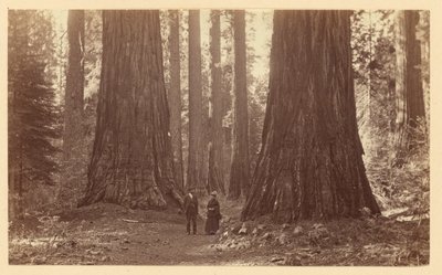  av Carleton Watkins