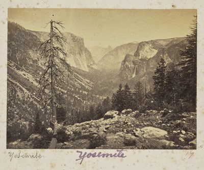  av Carleton Watkins
