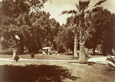  av Carleton Watkins