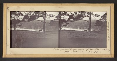 Utsikt fra eiendommen til Mr. Freundt, Mendocino av Carleton Watkins