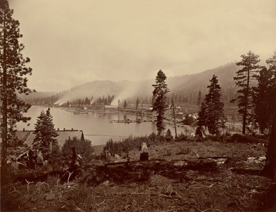  av Carleton Watkins