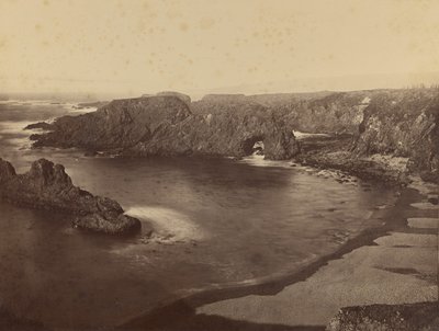  av Carleton Watkins