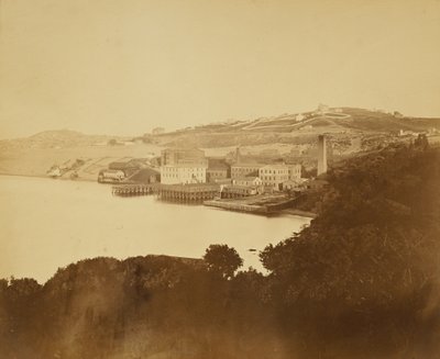  av Carleton Watkins