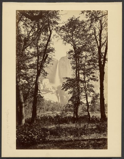  av Carleton Watkins