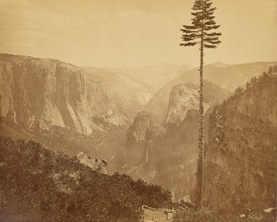  av Carleton Watkins