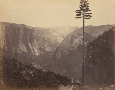 Yosemite Valley fra den beste generelle utsikten av Carleton Watkins