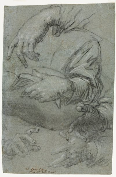 Studies of Hands (recto) av Carletto Caliari