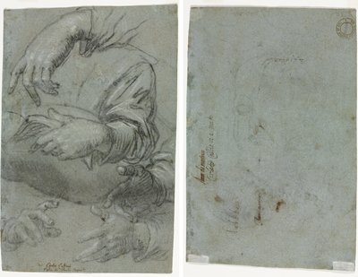 Studies of Hands (recto); Skisse av et barnehode (verso) av Carletto Caliari