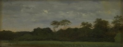 En eng ved et skogsvann av Carlo Dalgas