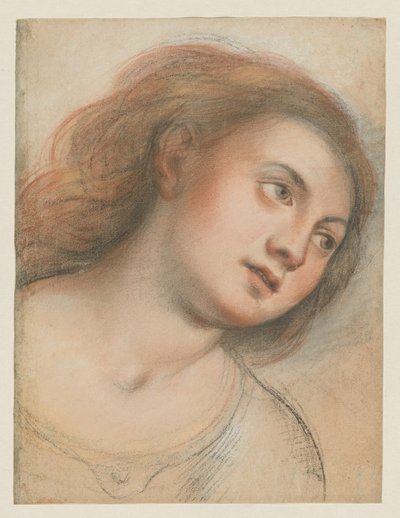 Studie for kvinnelig hode (verso); Kristi hode (rekto) av Carlo Francesco Nuvolone