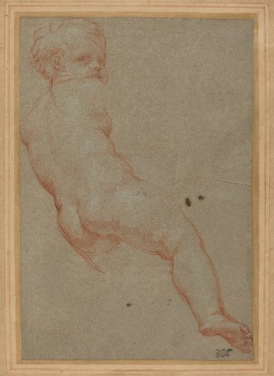 Studie av en ung gutt av Carlo Maratta