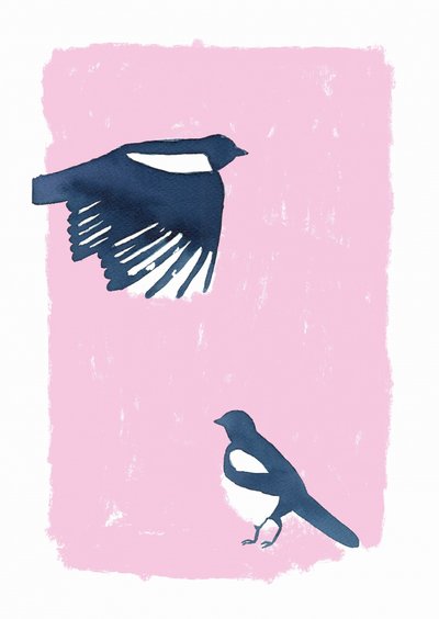 Pink Sky Magpies av Carola Cedell