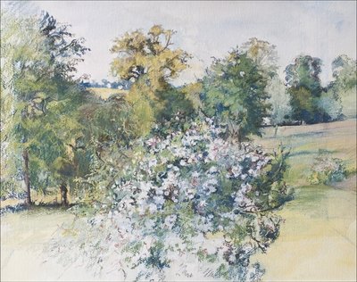 juni fra Our Window, 2007 (pastell & wc på papir) av Caroline Hervey Bathurst