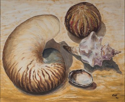 Seashells, 1993 (olje på papir) av Carolyn Hubbard Ford