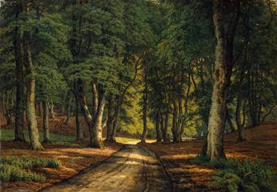 Et skogslandskap med hjort (olje på lerret) av Carsten Henrichsen