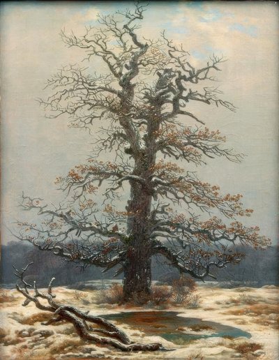 Eiketre i snøen av Caspar David Friedrich
