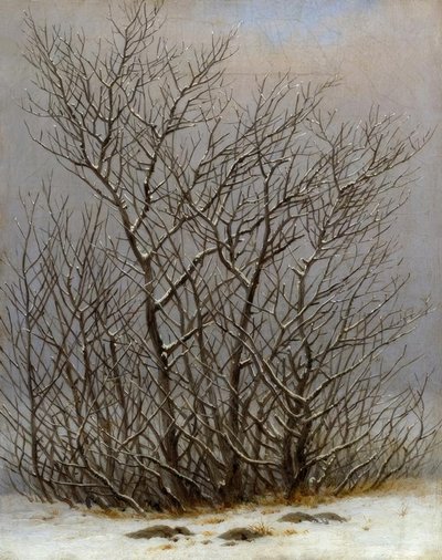 Busker i snøen av Caspar David Friedrich