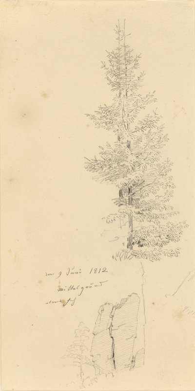 Studie av grantrær og en stein av Caspar David Friedrich