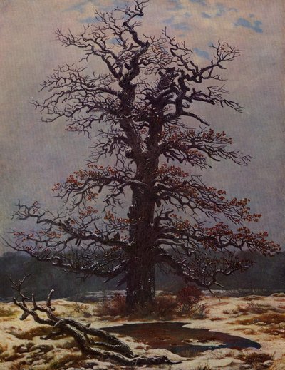 Eik i snøen av Caspar David Friedrich