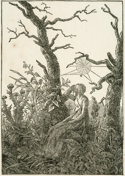 Kvinne med spindelvev mellom nakne trær av Caspar David Friedrich