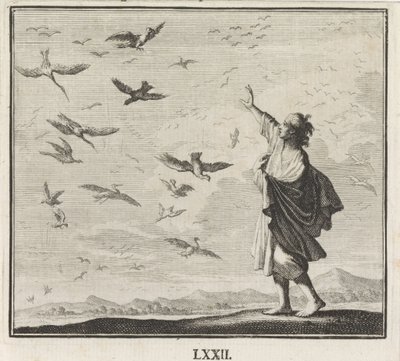 Emblem: fugler av Caspar Luyken