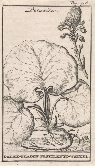 Petasitter av Caspar Luyken