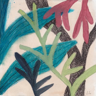  av Catalina Somolinos