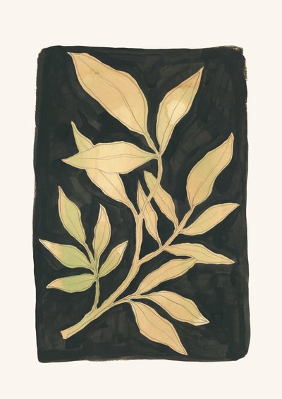  av Catalina Somolinos