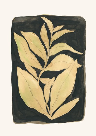  av Catalina Somolinos